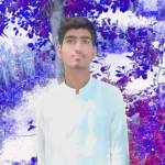 Safdark Profile Picture