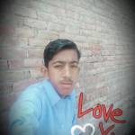 hamza javed Profile Picture