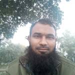 MD.Mahedi Hasan Profile Picture
