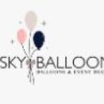 The Sky Balloons Profile Picture
