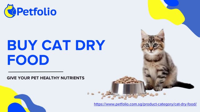 Buy Cat Dry Food Under Your Budget .pptx