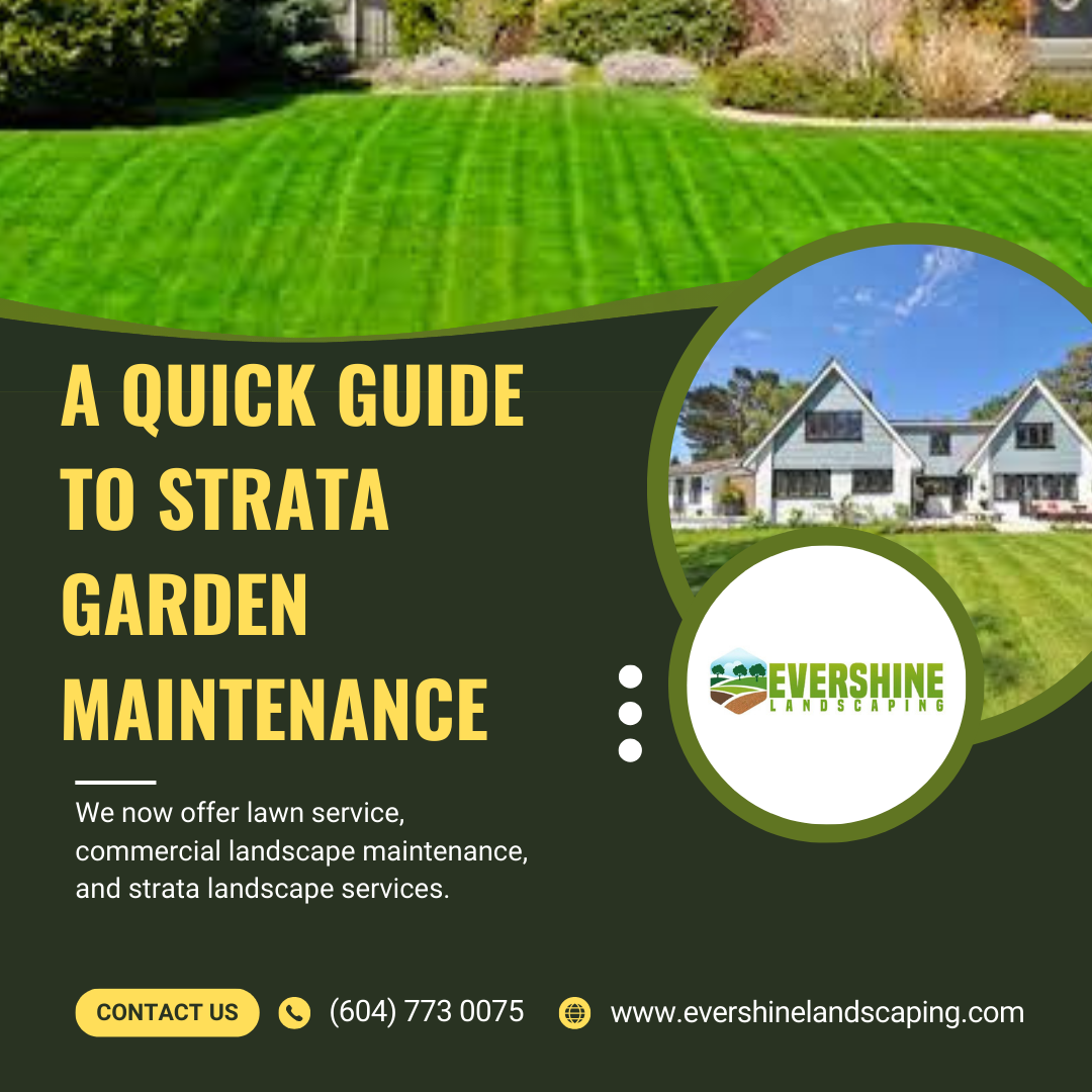 A Quick Guide to Strata Garden Maintenance | Evershine Landscaping - Evershine landscaping