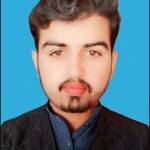 khizar mehrvi Profile Picture